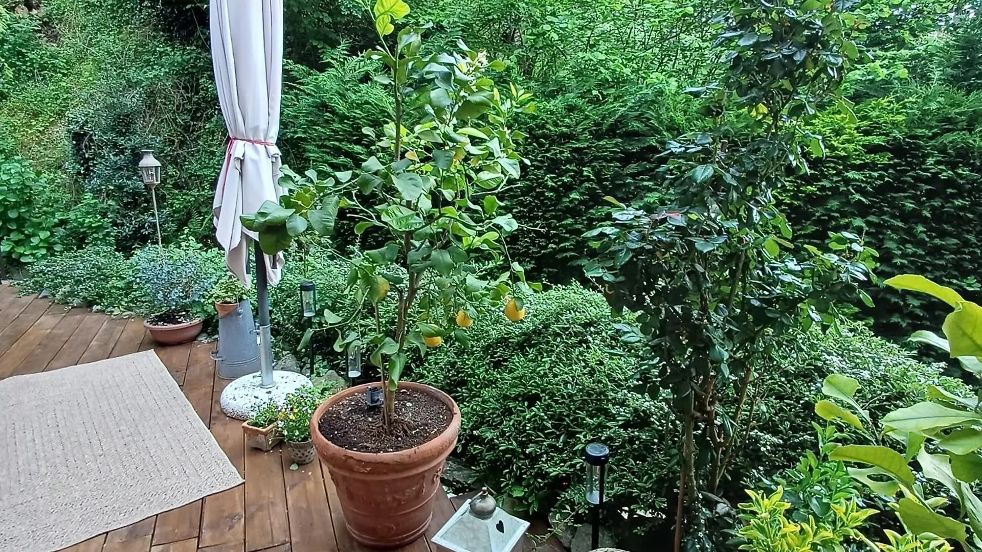 Appartamento La casetta nel verde Côme
