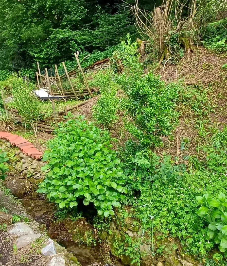 La Casetta Nel Verde Côme 0*,