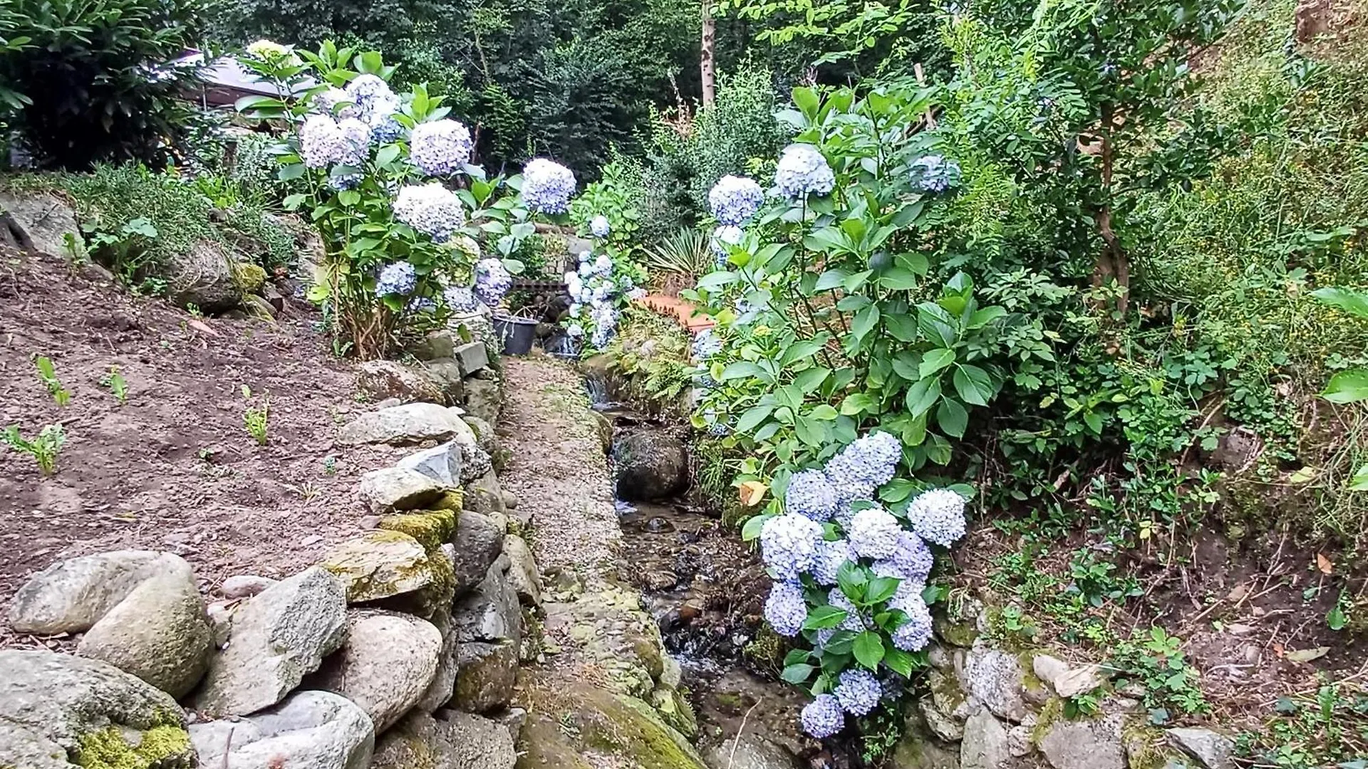 La Casetta Nel Verde Como Apartment